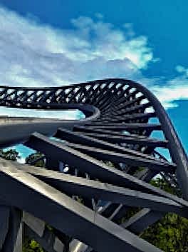 Epic Roller Coasters